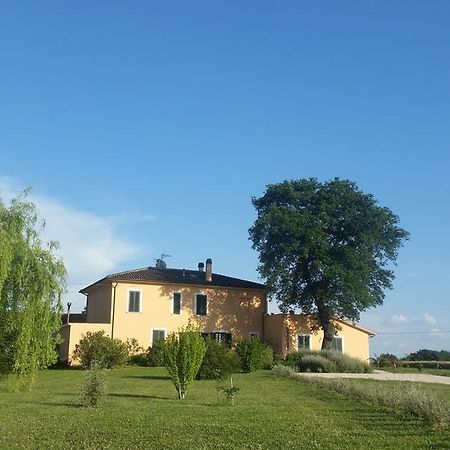 玫瑰住宿加早餐旅馆 斯佩洛 外观 照片